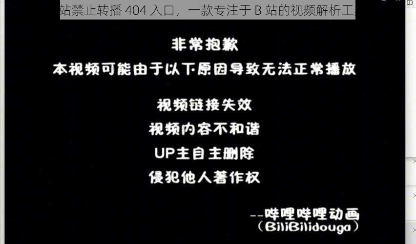 B站禁止转播 404 入口，一款专注于 B 站的视频解析工具