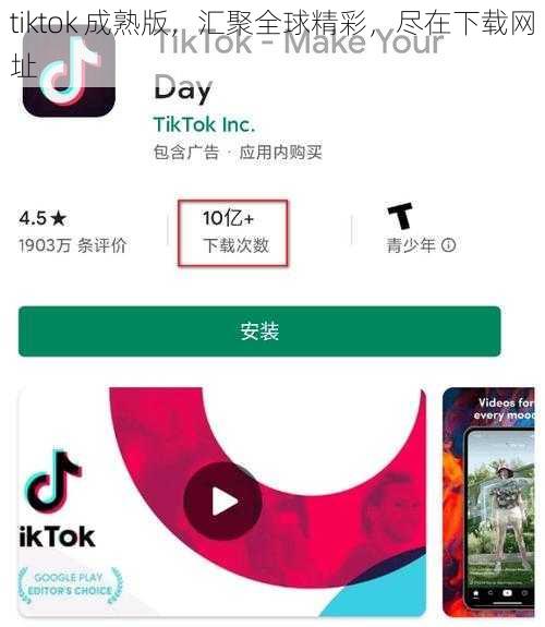 tiktok 成熟版，汇聚全球精彩，尽在下载网址