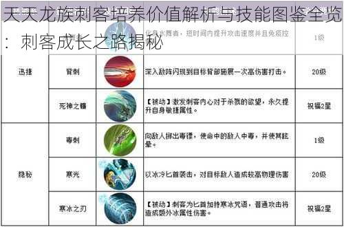 天天龙族刺客培养价值解析与技能图鉴全览：刺客成长之路揭秘