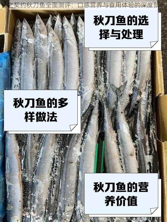 食之契约秋刀鱼全面测评：口感营养与食用体验的深度剖析