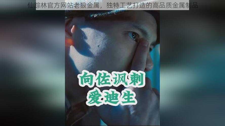 仙踪林官方网站老狼金属，独特工艺打造的高品质金属制品