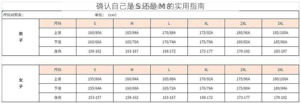 确认自己是 S 还是 M 的实用指南