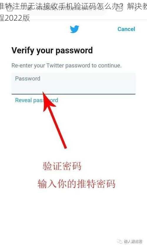 推特注册无法接收手机验证码怎么办？解决教程2022版