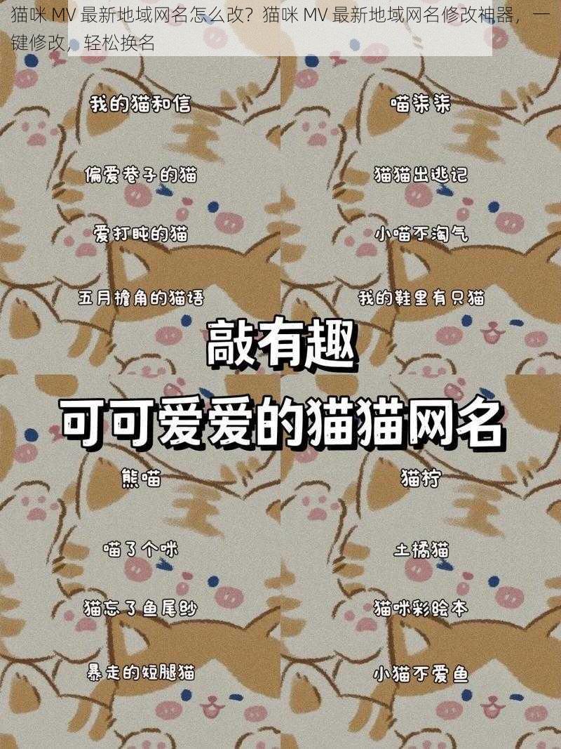 猫咪 MV 最新地域网名怎么改？猫咪 MV 最新地域网名修改神器，一键修改，轻松换名