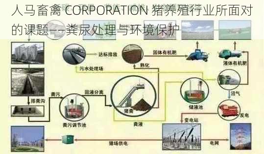 人马畜禽 CORPORATION 猪养殖行业所面对的课题——粪尿处理与环境保护