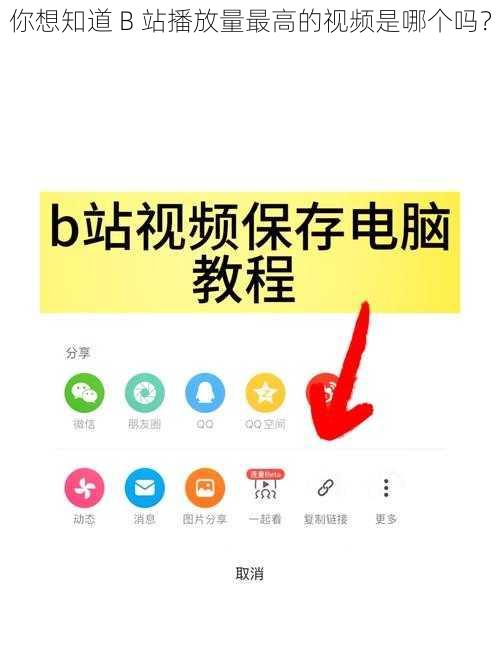 你想知道 B 站播放量最高的视频是哪个吗？