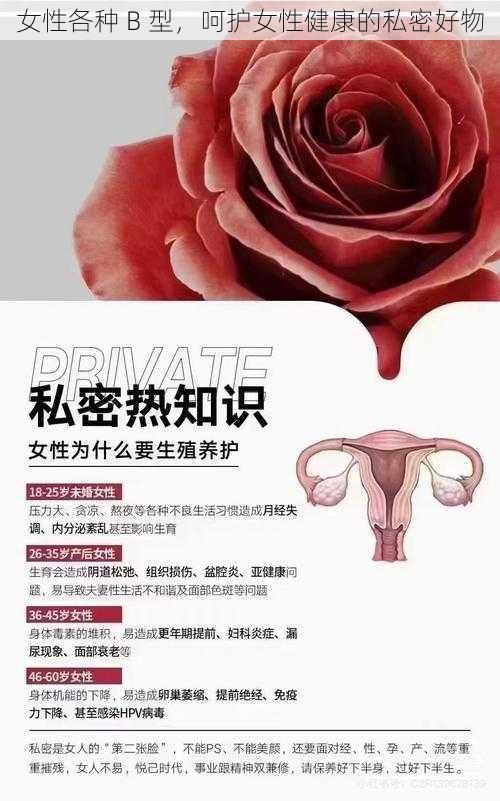 女性各种 B 型，呵护女性健康的私密好物