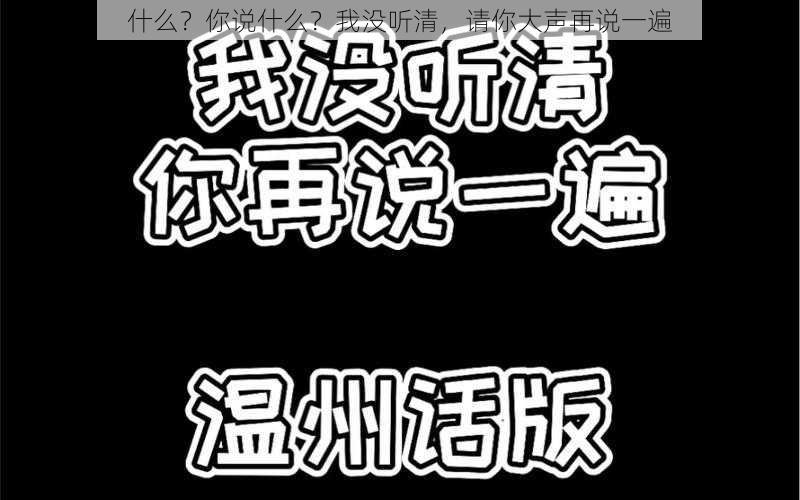 什么？你说什么？我没听清，请你大声再说一遍