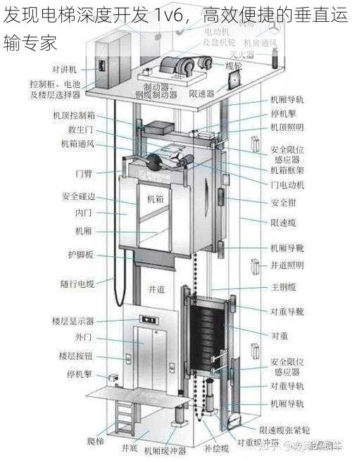 发现电梯深度开发 1v6，高效便捷的垂直运输专家