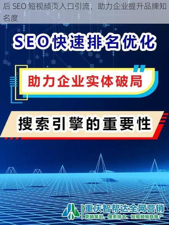 后 SEO 短视频页入口引流，助力企业提升品牌知名度