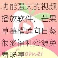 功能强大的视频播放软件，芒果草莓榴莲向日葵很多福利资源免费畅享