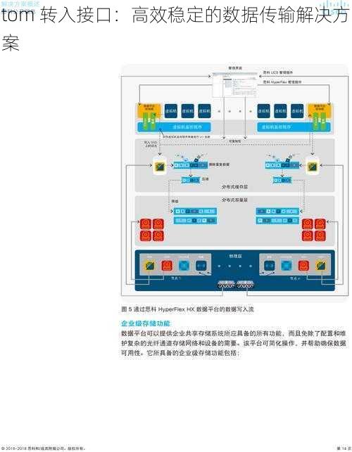 tom 转入接口：高效稳定的数据传输解决方案