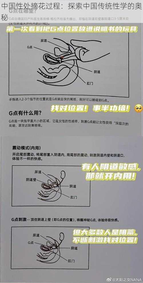 中国性处摘花过程：探索中国传统性学的奥秘