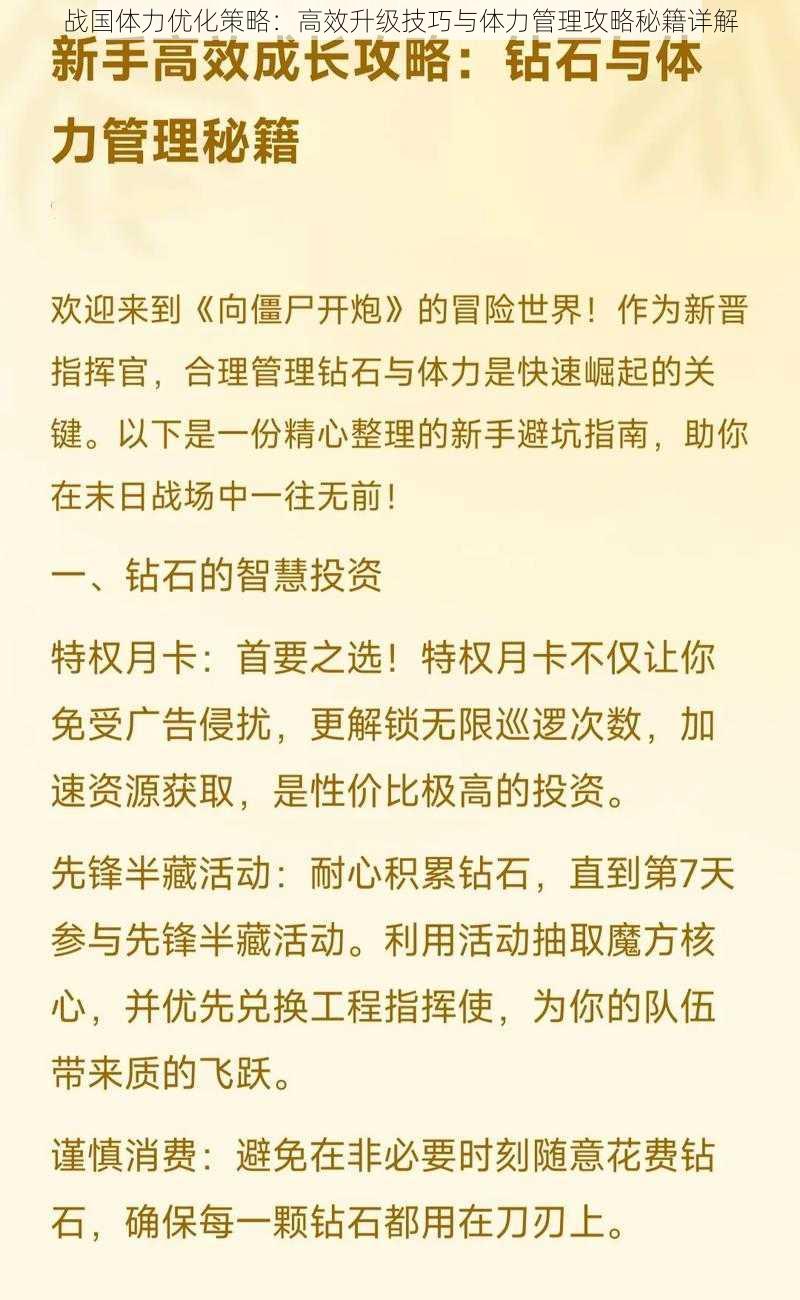 战国体力优化策略：高效升级技巧与体力管理攻略秘籍详解