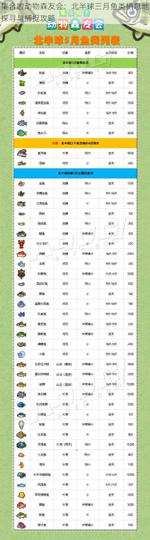 集合啦动物森友会：北半球三月鱼类栖息地探寻与捕捉攻略