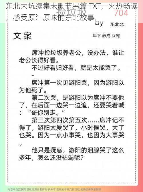 东北大坑续集未删节另篇 TXT，火热畅读，感受原汁原味的东北故事