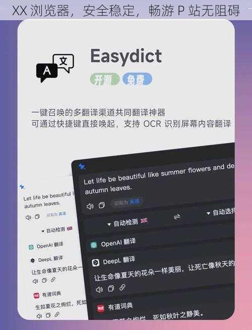 XX 浏览器，安全稳定，畅游 P 站无阻碍