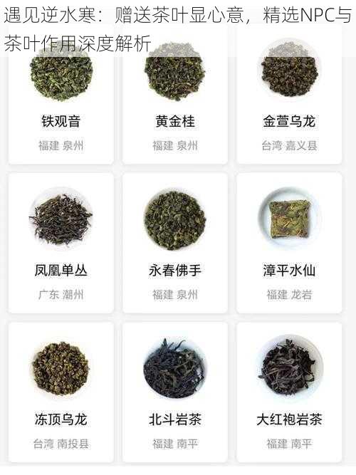 遇见逆水寒：赠送茶叶显心意，精选NPC与茶叶作用深度解析