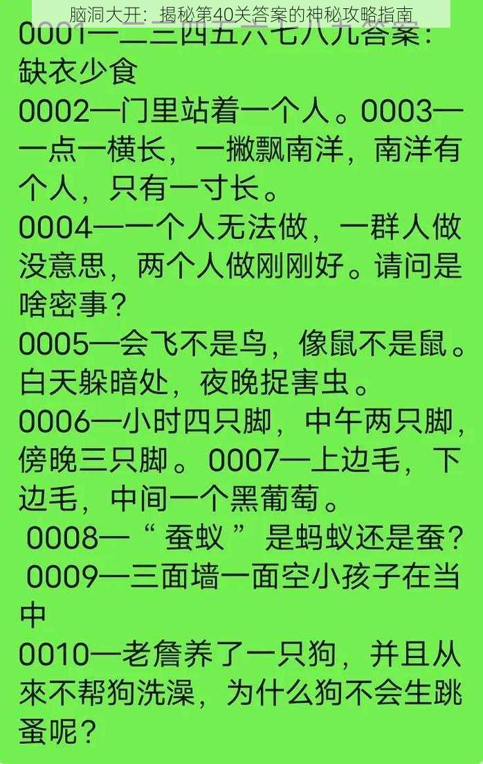 脑洞大开：揭秘第40关答案的神秘攻略指南