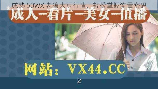 成熟 50WX 老狼大豆行情，轻松掌握流量密码