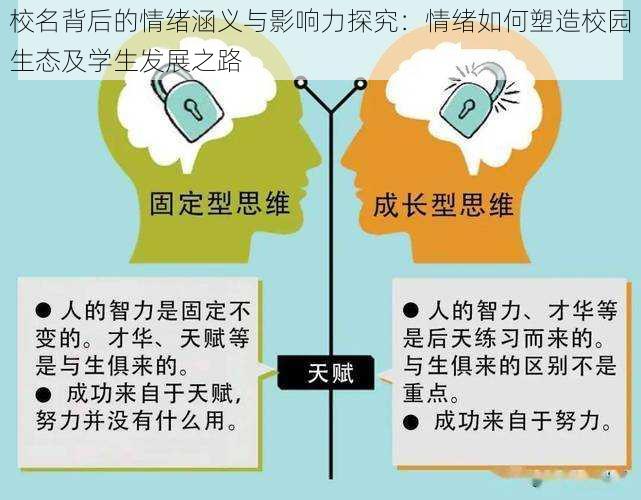 校名背后的情绪涵义与影响力探究：情绪如何塑造校园生态及学生发展之路