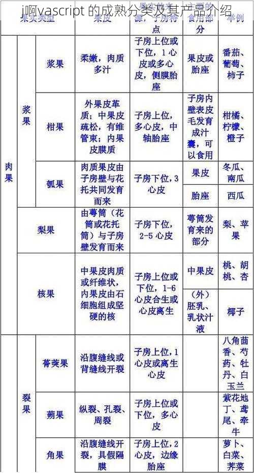 j啊vascript 的成熟分类及其产品介绍