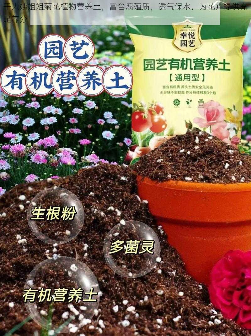 干大姨姐姐菊花植物营养土，富含腐殖质，透气保水，为花卉提供充足养分