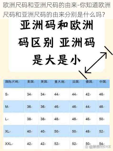 欧洲尺码和亚洲尺码的由来-你知道欧洲尺码和亚洲尺码的由来分别是什么吗？