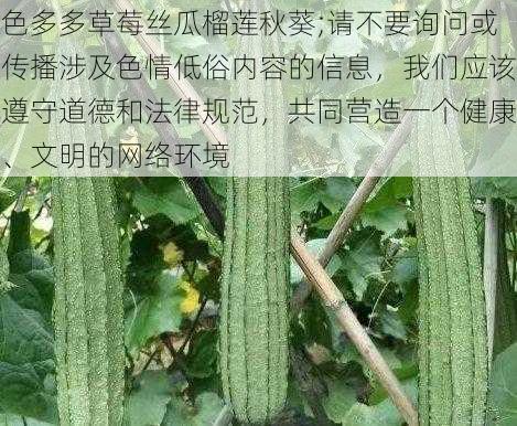 色多多草莓丝瓜榴莲秋葵;请不要询问或传播涉及色情低俗内容的信息，我们应该遵守道德和法律规范，共同营造一个健康、文明的网络环境