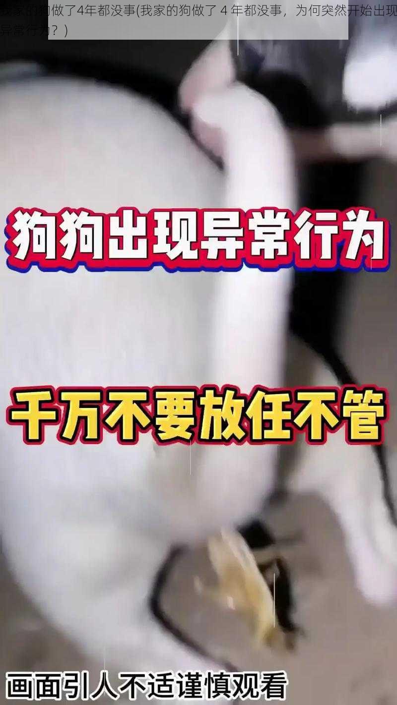 我家的狗做了4年都没事(我家的狗做了 4 年都没事，为何突然开始出现异常行为？)