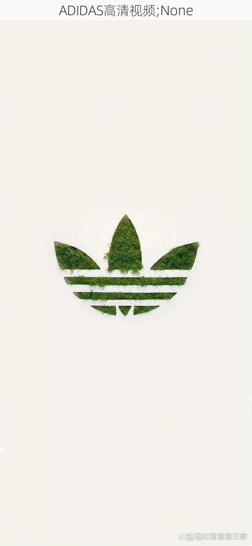 ADIDAS高清视频;None