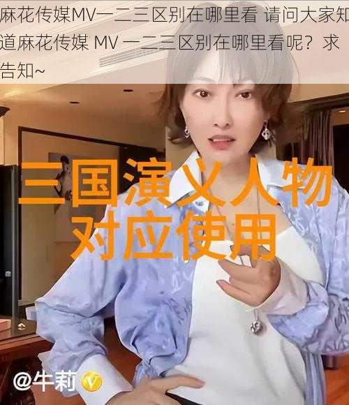 麻花传媒MV一二三区别在哪里看 请问大家知道麻花传媒 MV 一二三区别在哪里看呢？求告知~