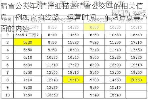 晴雪公交车;请详细描述晴雪公交车的相关信息，例如它的线路、运营时间、车辆特点等方面的内容