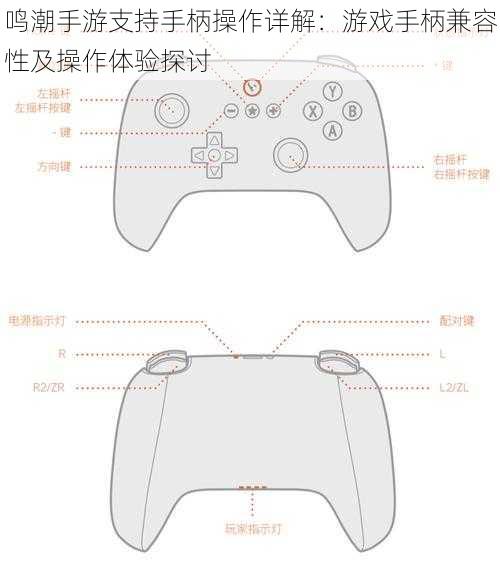 鸣潮手游支持手柄操作详解：游戏手柄兼容性及操作体验探讨