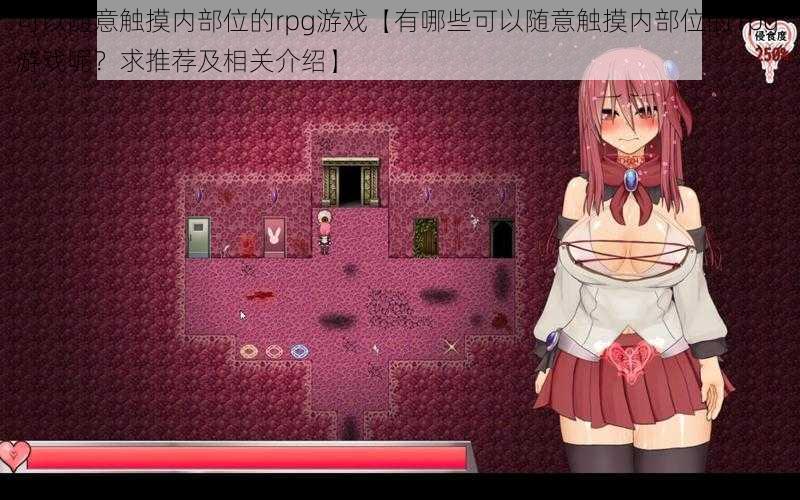 可以随意触摸内部位的rpg游戏【有哪些可以随意触摸内部位的 rpg 游戏呢？求推荐及相关介绍】