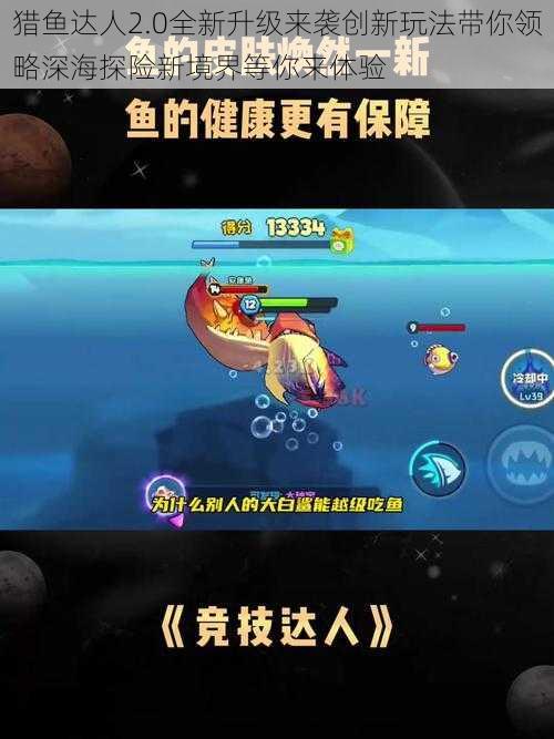 猎鱼达人2.0全新升级来袭创新玩法带你领略深海探险新境界等你来体验