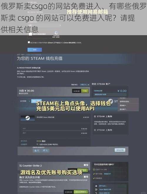 俄罗斯卖csgo的网站免费进入、有哪些俄罗斯卖 csgo 的网站可以免费进入呢？请提供相关信息