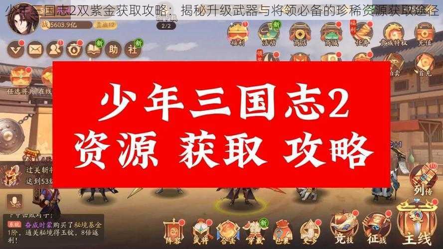 少年三国志2双紫金获取攻略：揭秘升级武器与将领必备的珍稀资源获取途径