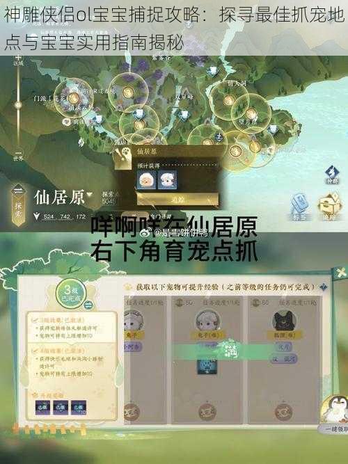 神雕侠侣ol宝宝捕捉攻略：探寻最佳抓宠地点与宝宝实用指南揭秘