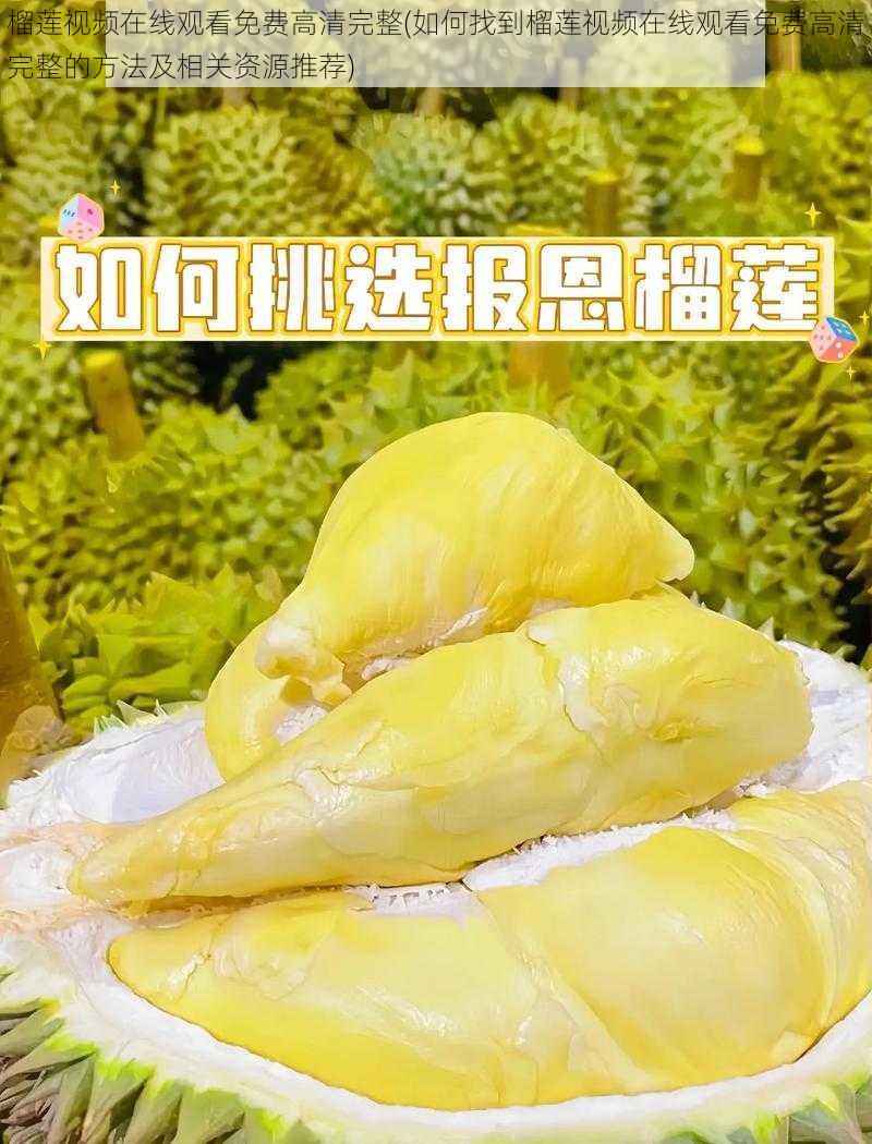 榴莲视频在线观看免费高清完整(如何找到榴莲视频在线观看免费高清完整的方法及相关资源推荐)