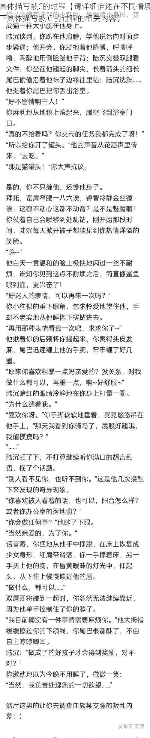 具体描写被C的过程【请详细描述在不同情境下具体描写被 C 的过程的相关内容】