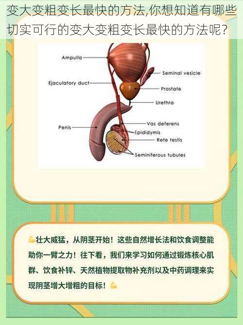 变大变粗变长最快的方法,你想知道有哪些切实可行的变大变粗变长最快的方法呢？