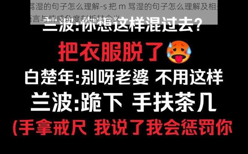 s把m骂湿的句子怎么理解-s 把 m 骂湿的句子怎么理解及相关探讨：从语言与情感角度剖析其含义