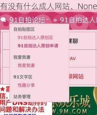 有没有什么成人网站、None