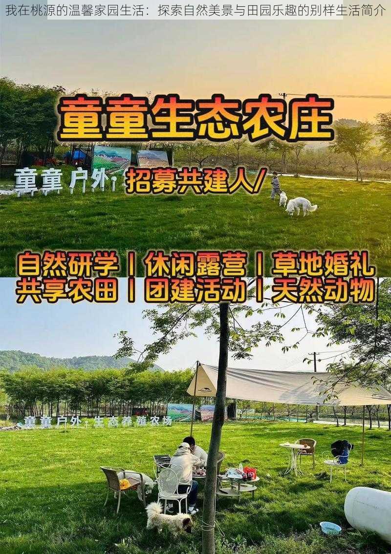 我在桃源的温馨家园生活：探索自然美景与田园乐趣的别样生活简介