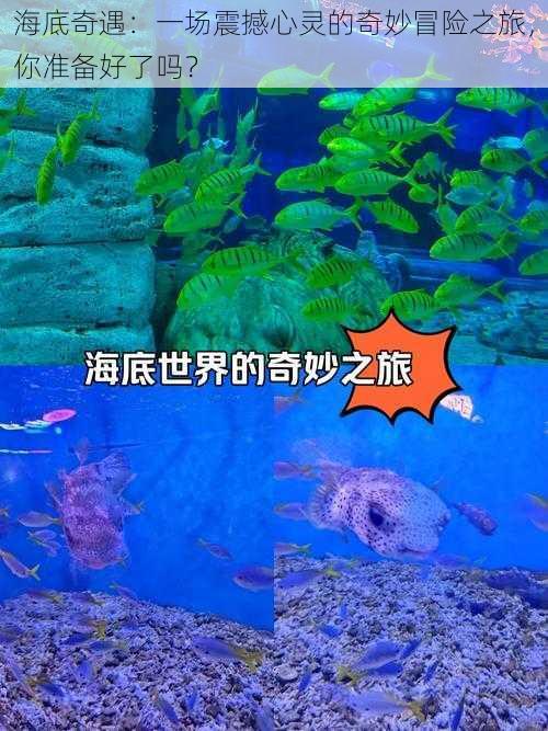 海底奇遇：一场震撼心灵的奇妙冒险之旅，你准备好了吗？