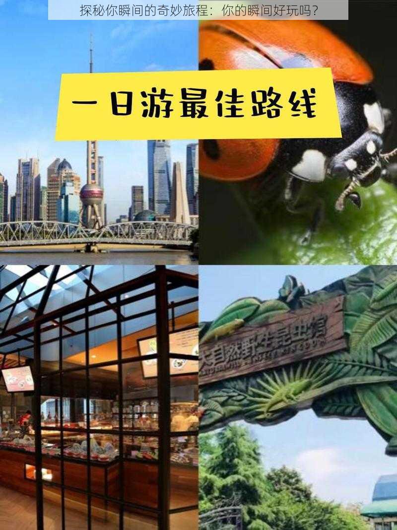 探秘你瞬间的奇妙旅程：你的瞬间好玩吗？