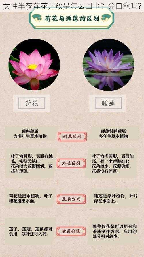 女性半夜莲花开放是怎么回事？会自愈吗？