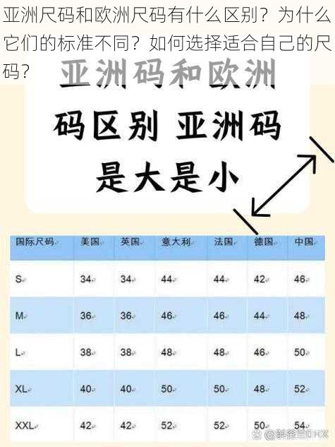 亚洲尺码和欧洲尺码有什么区别？为什么它们的标准不同？如何选择适合自己的尺码？