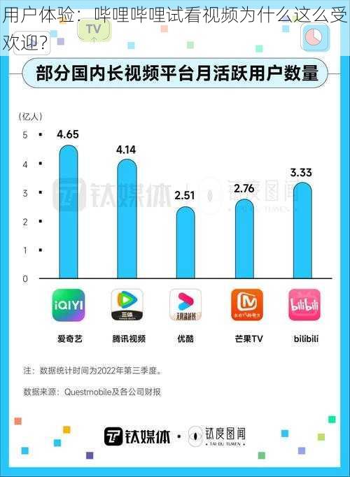 用户体验：哔哩哔哩试看视频为什么这么受欢迎？